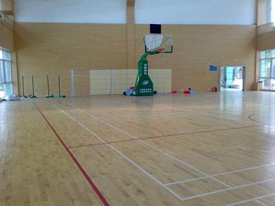 室內(nèi)運動地板 室內(nèi)運動地板