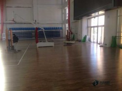 籃球體育木地板每平米價(jià)格