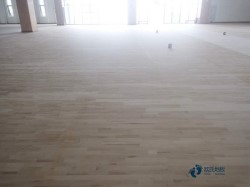 室內(nèi)運動型地板施工團(tuán)隊